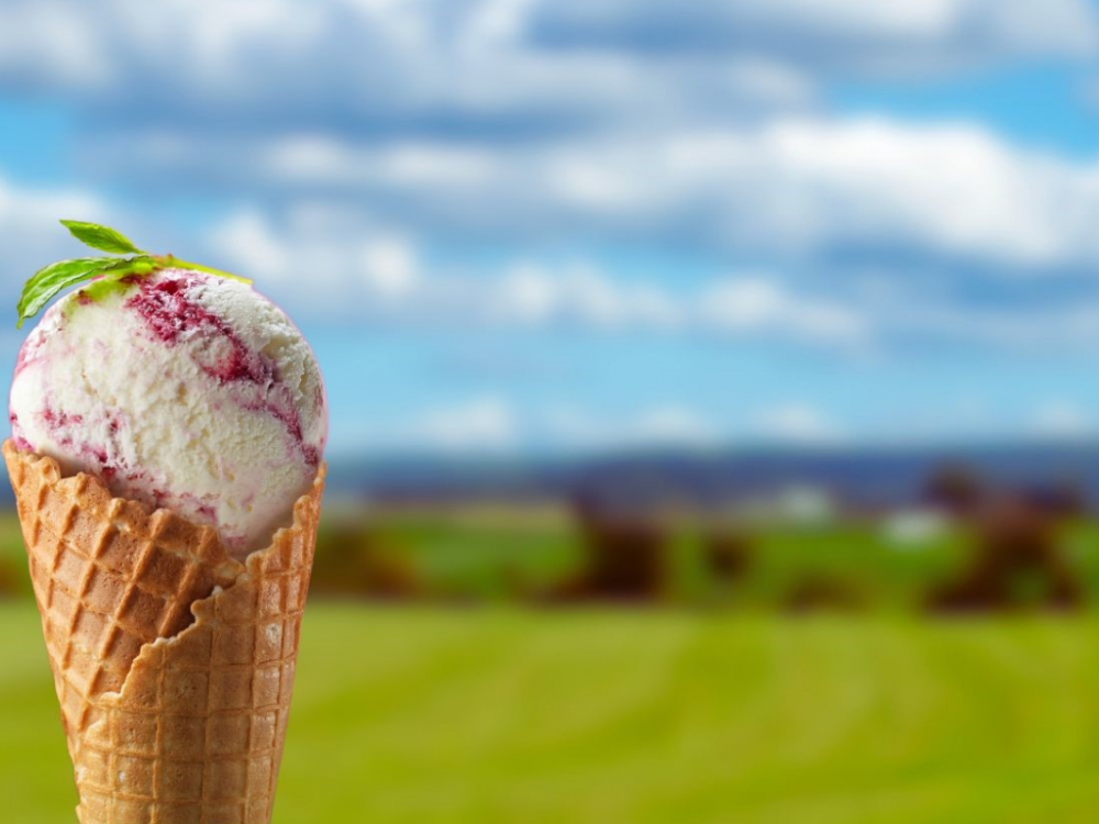 Ice Cream Parlour has closed for this Season and will reopen in the Spring!